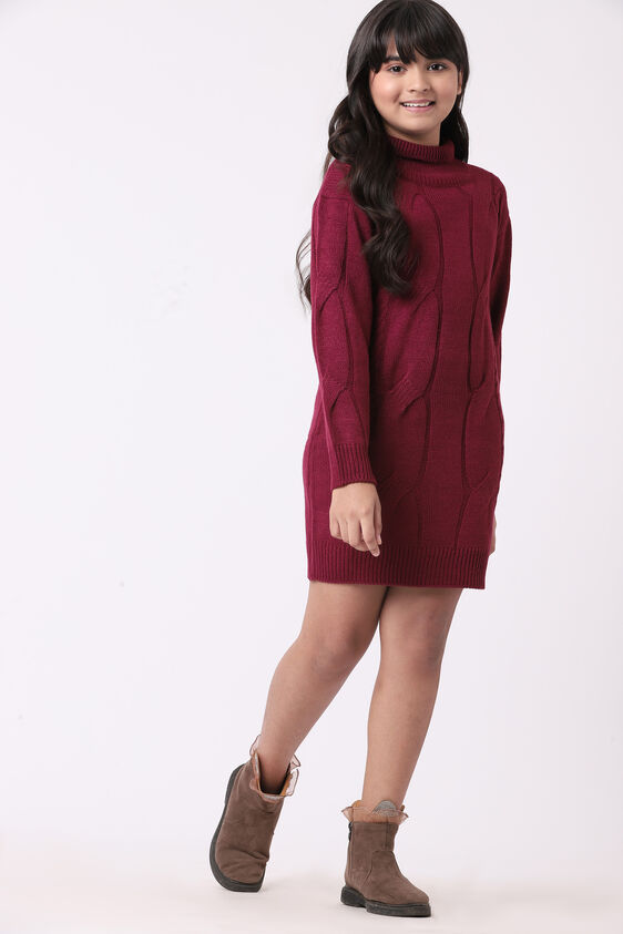 Wine Self Design Straight Dress, Wine, image 2
